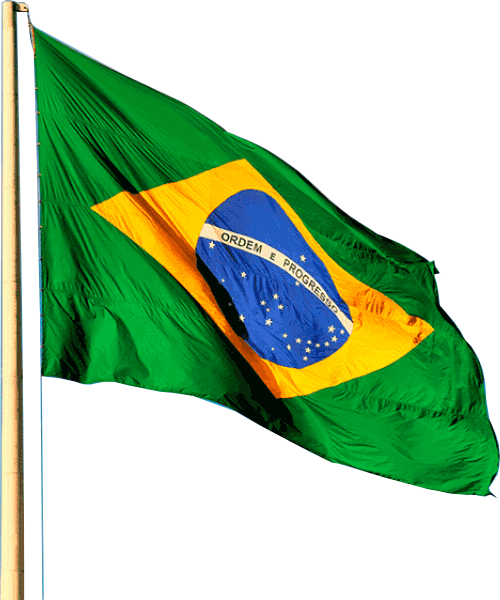Genuinamento Blumenauense e Brasileira
